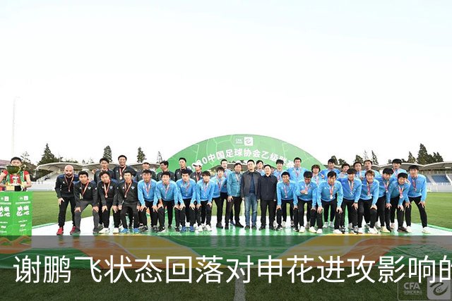 谢鹏飞状态回落对申花进攻影响的分析