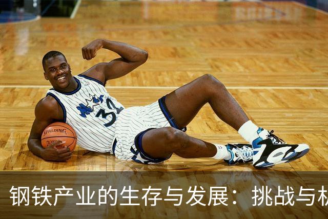 钢铁产业的生存与发展：挑战与机遇的双重解析